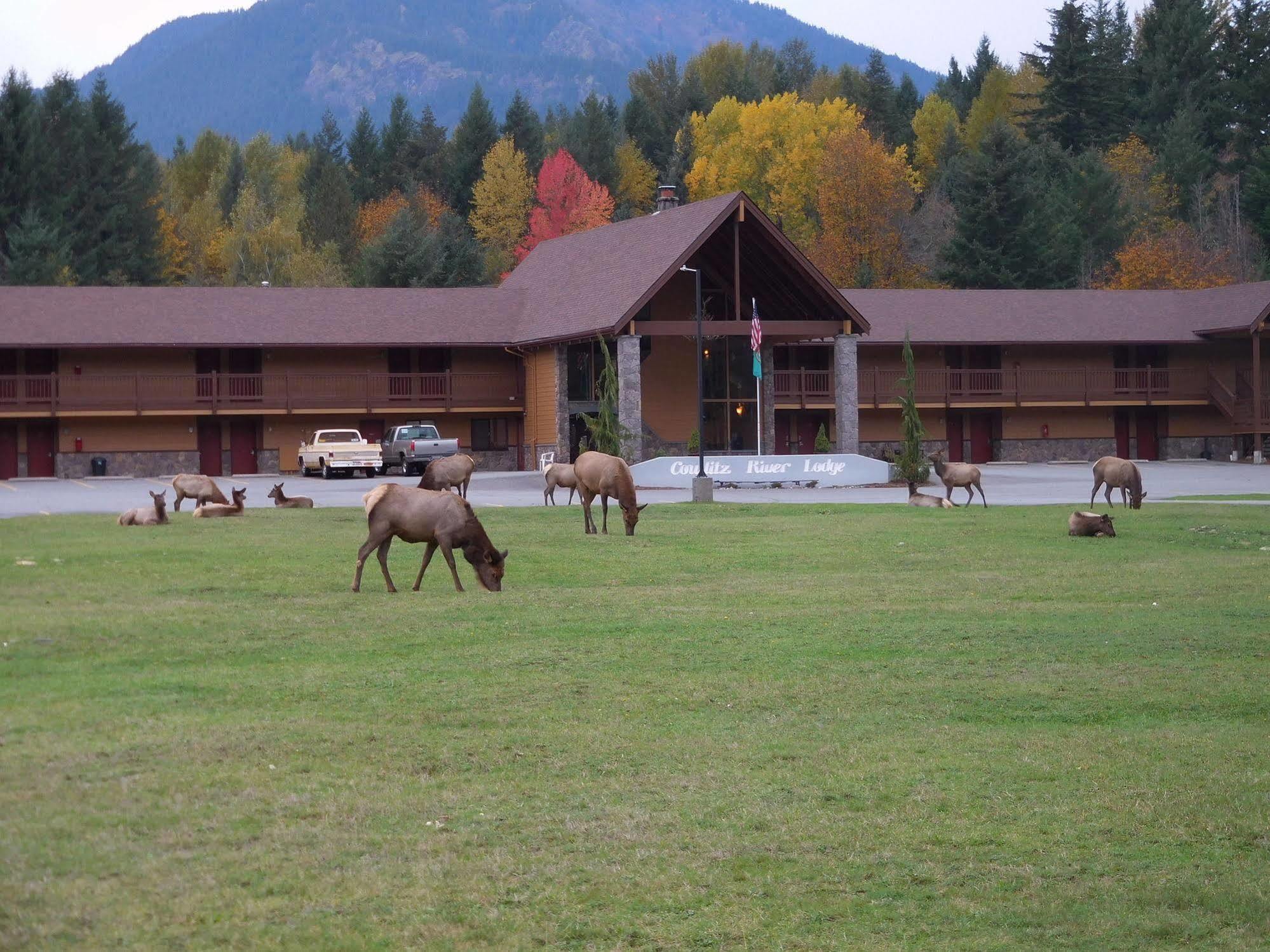 Cowlitz River Lodge Packwood Exterior photo