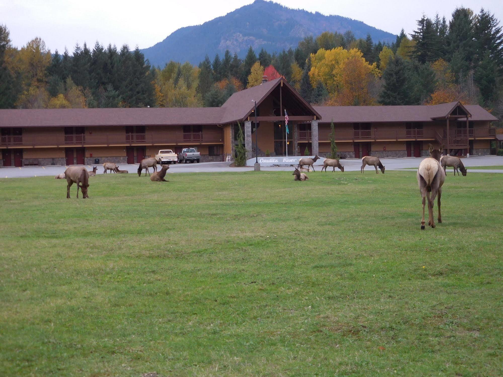 Cowlitz River Lodge Packwood Exterior photo