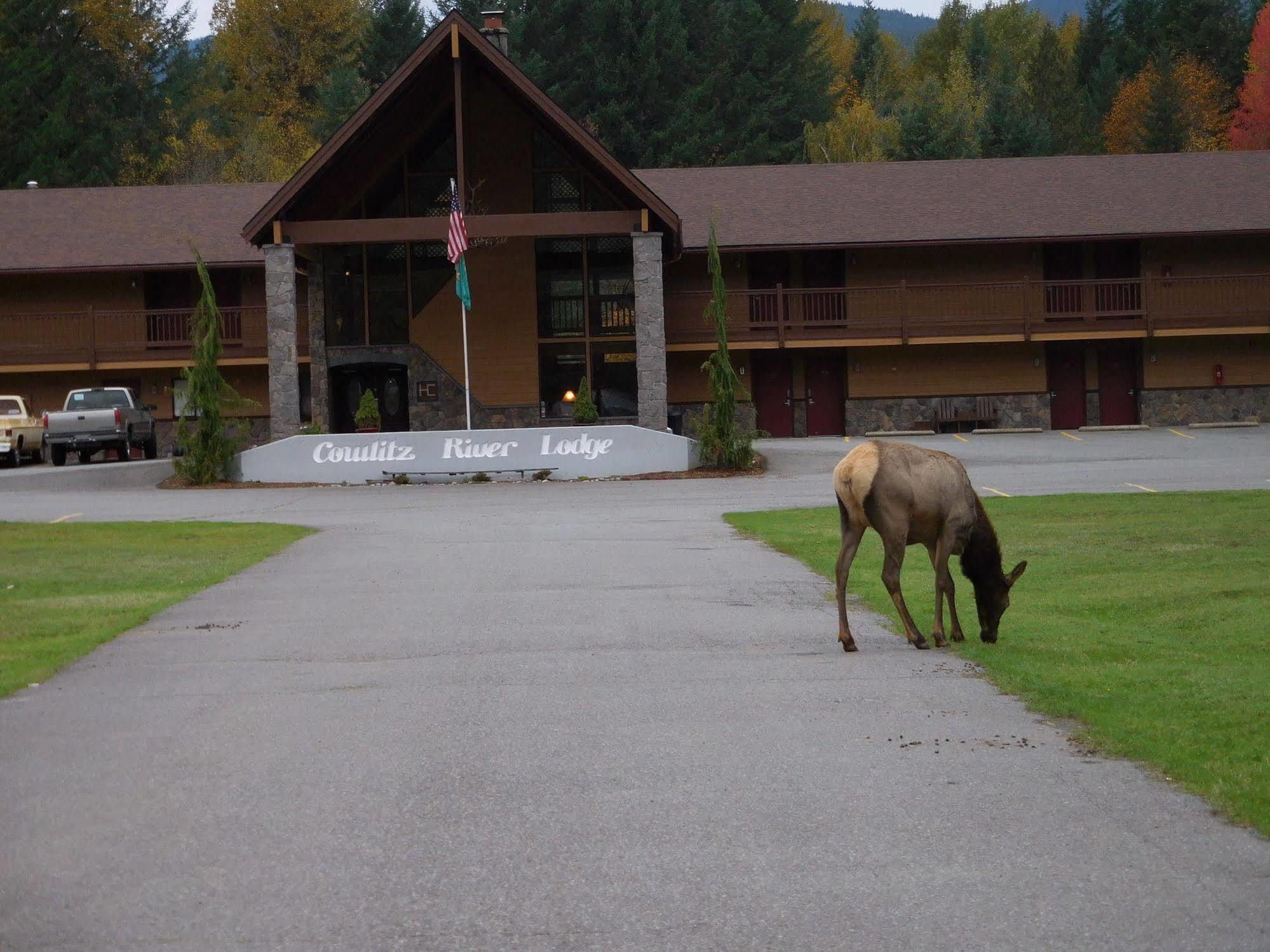 Cowlitz River Lodge Packwood Exterior photo