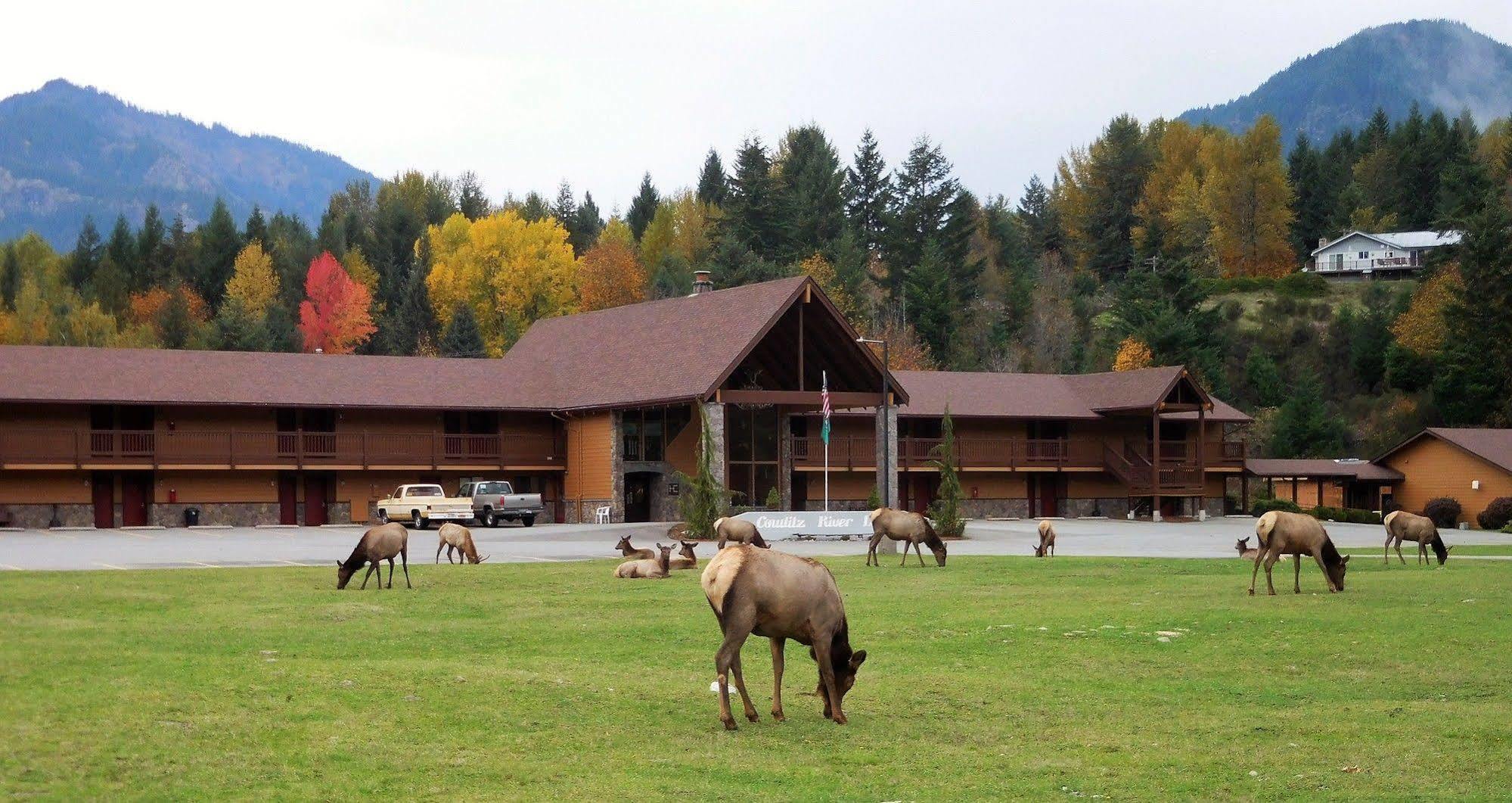 Cowlitz River Lodge Packwood Exterior photo