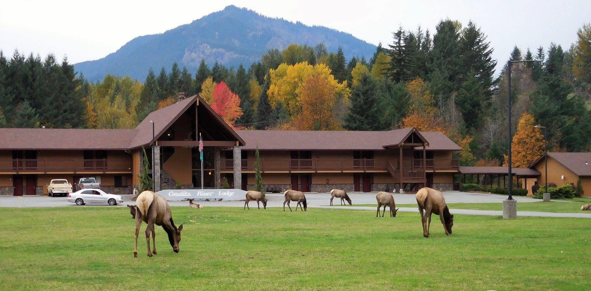 Cowlitz River Lodge Packwood Exterior photo